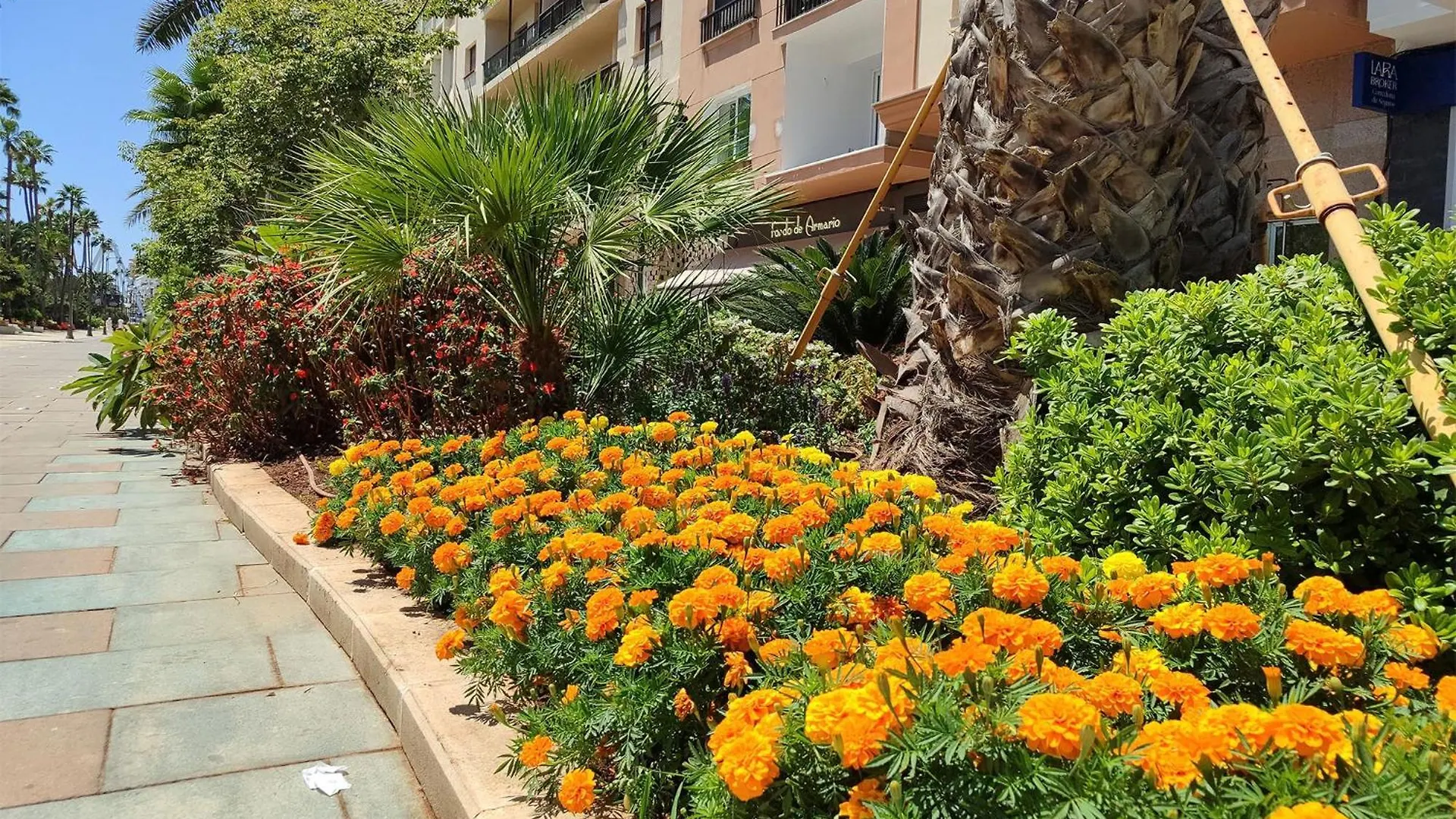 Apartamento Edificio Jardin Estepona